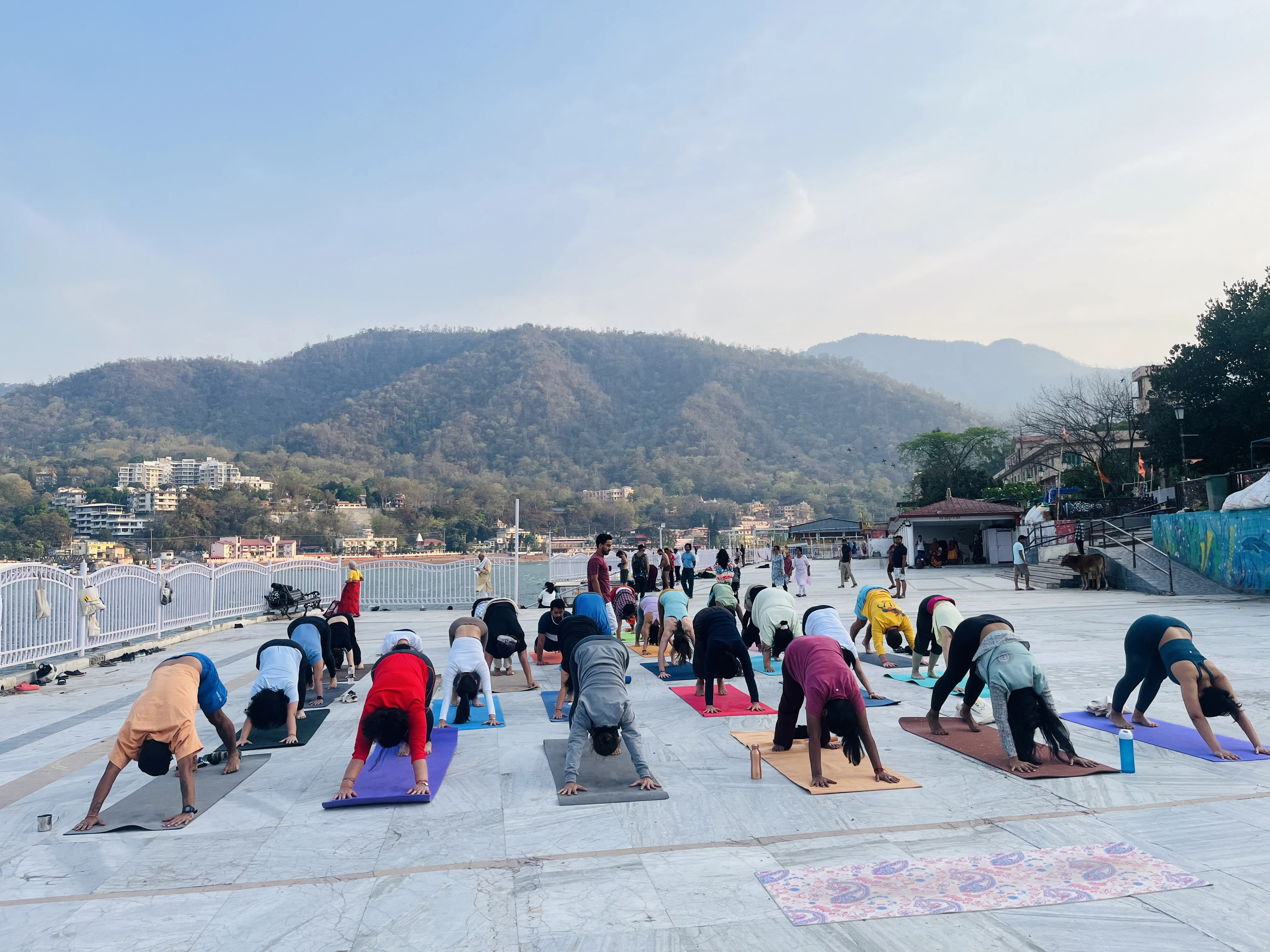 outdoor yoga